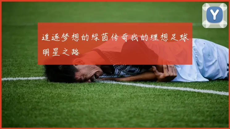 追逐梦想的绿茵传奇我的理想足球明星之路