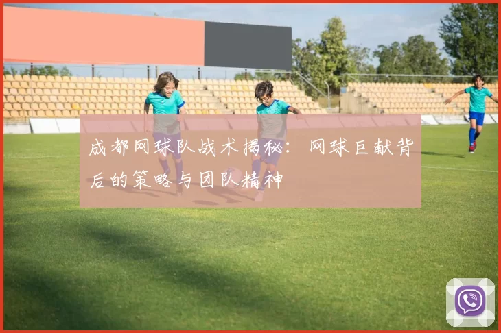 成都网球队战术揭秘：网球巨献背后的策略与团队精神