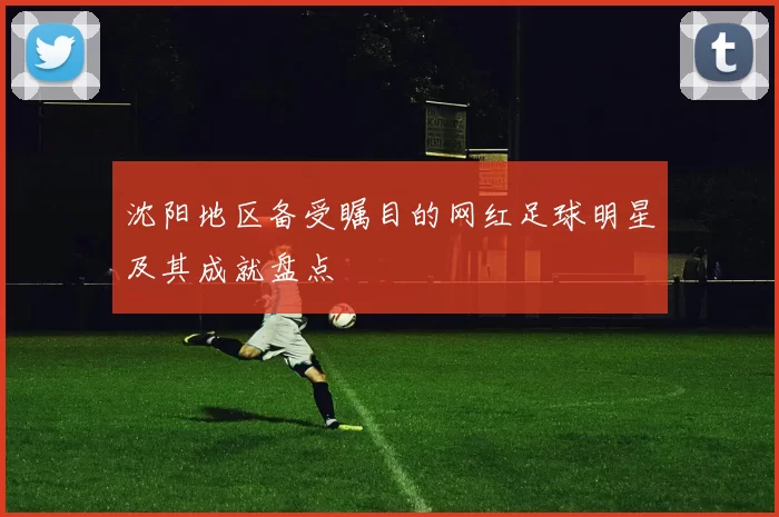 沈阳地区备受瞩目的网红足球明星及其成就盘点