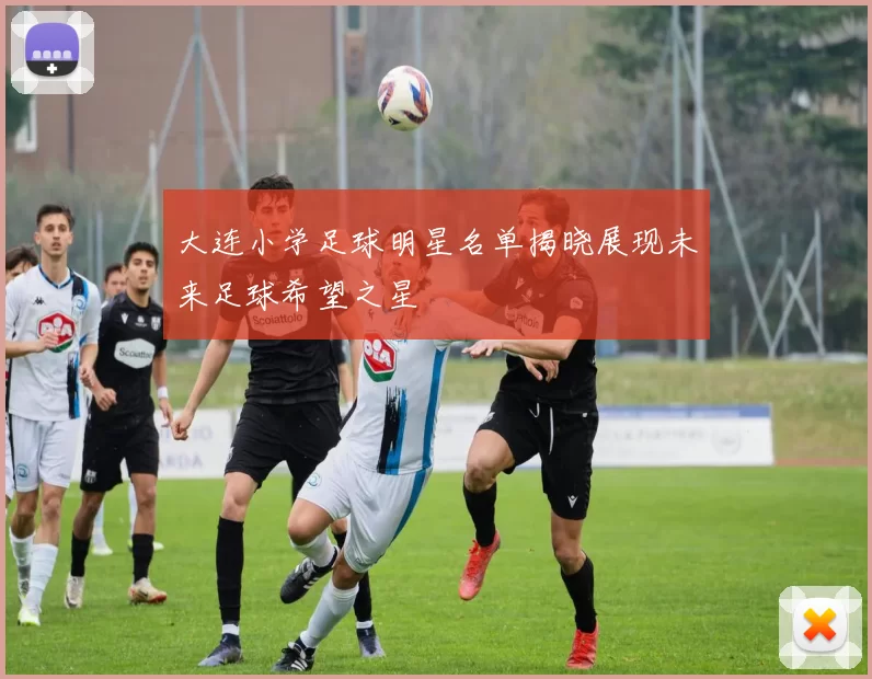 大连小学足球明星名单揭晓展现未来足球希望之星