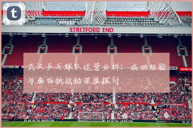 武汉乒乓球队运营分析：成功经验与面临挑战的深度探讨