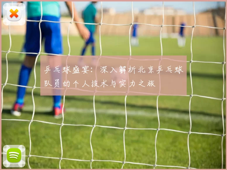 乒乓球盛宴：深入解析北京乒乓球队员的个人技术与实力之旅