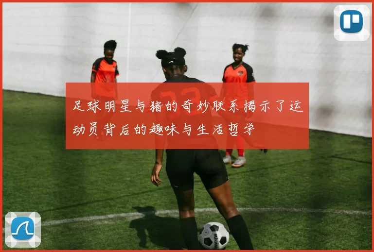 足球明星与猪的奇妙联系揭示了运动员背后的趣味与生活哲学