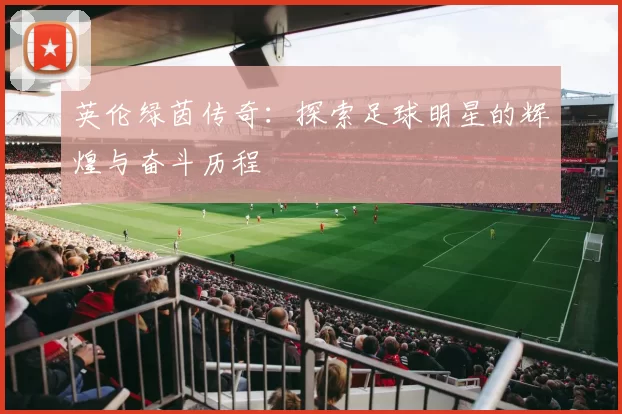 英伦绿茵传奇：探索足球明星的辉煌与奋斗历程