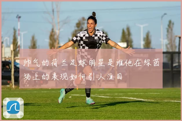 帅气的荷兰足球明星是谁他在绿茵场上的表现如何引人注目